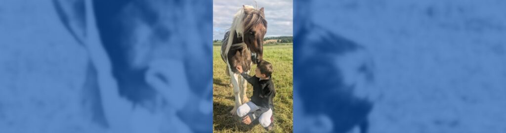 rescata pony contenedor