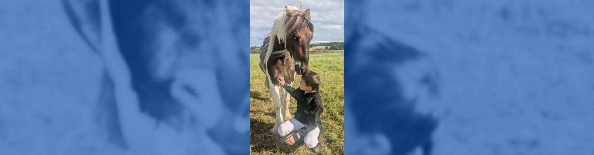 rescata pony contenedor