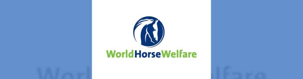 World Horse Welfare encuesta anual