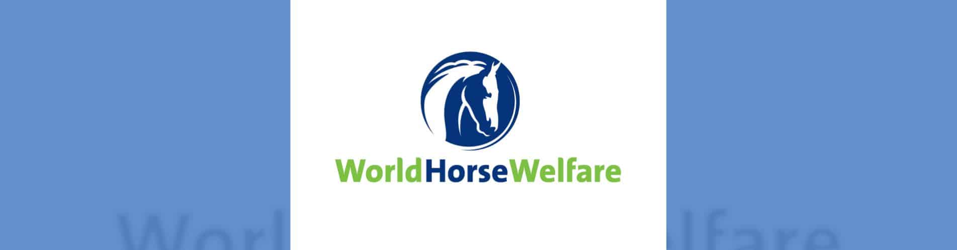 World Horse Welfare encuesta anual