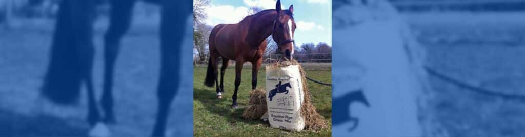 mejor ensilado caballo Special Feeds Country Haylage Rye Grass Mix