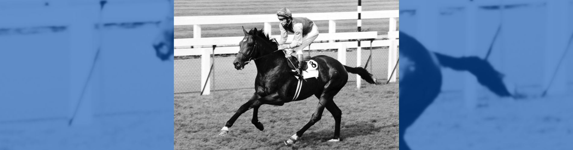 `Triple Corona Nijinsky