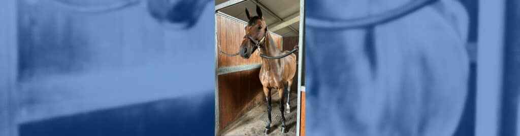 Sofía Dolegowski Dilana 19