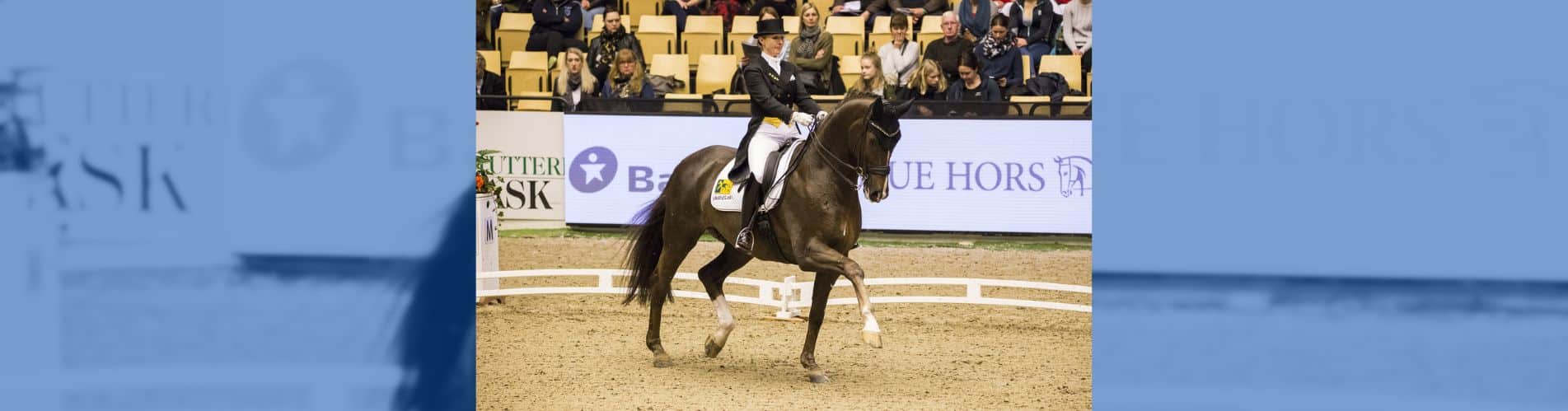 Du Soleil Kristy Oatley