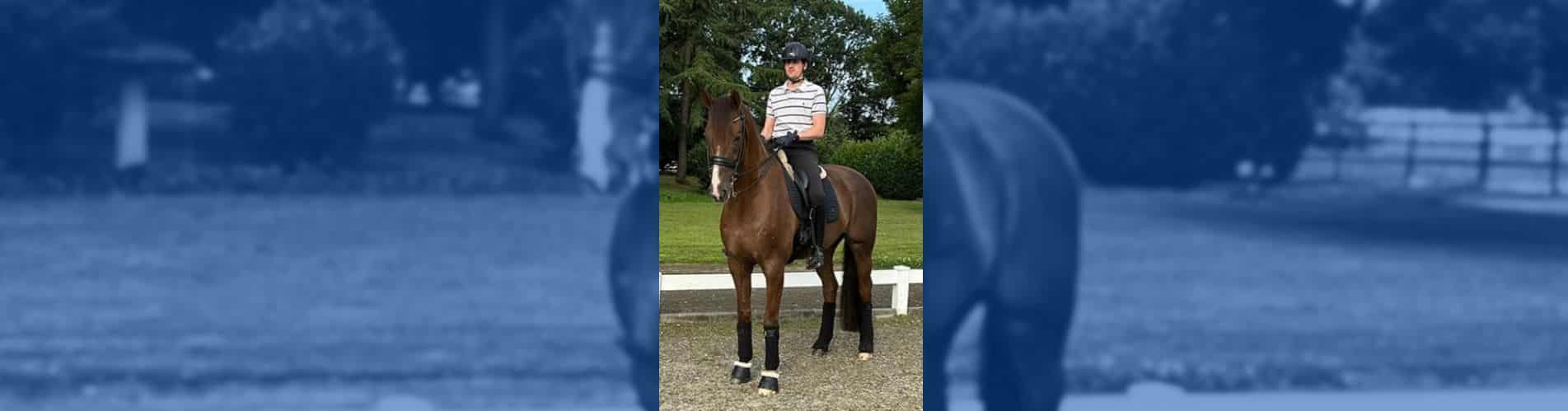 Gonzalo Castillo Arroyo Dollar Dream