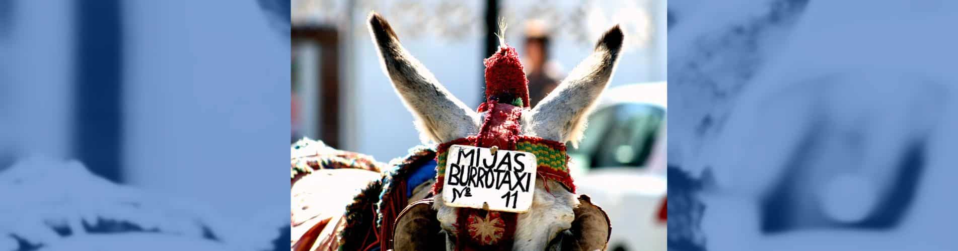 Burro taxis Mijas