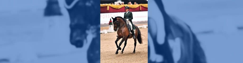 Anna Merveldt Esporim