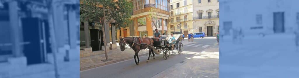 manifestación Palma caballos galeras
