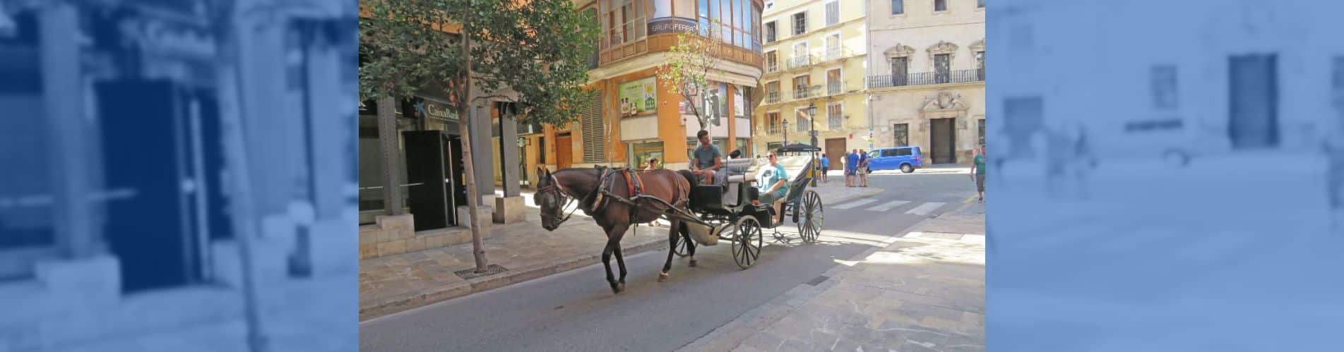 manifestación Palma caballos galeras