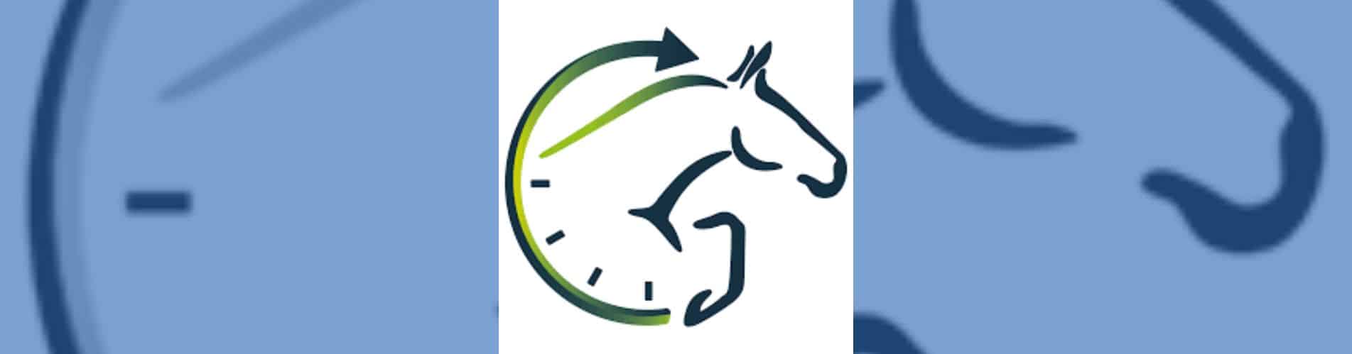 Subastas de potros Paardenveilingonline