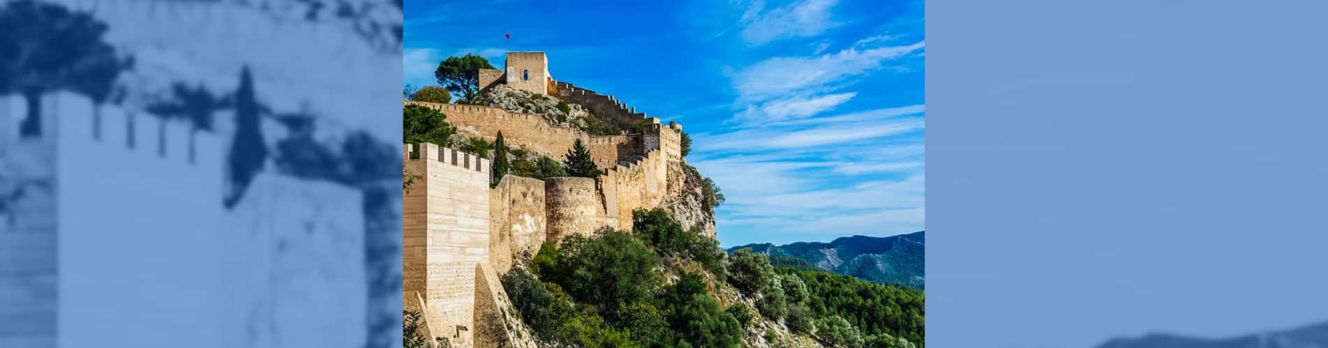 rescate burro xátiva