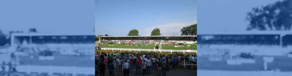 Las Mestas concurso internacional