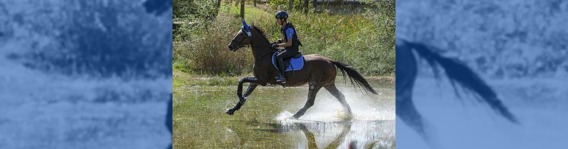 David Periñán Arquillo Campeonato de Europa