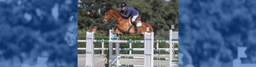 CSD nulidad elecciones RFHE