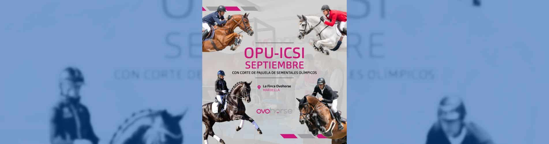 OPU-ICSI Ovohorse sementales olímpicos