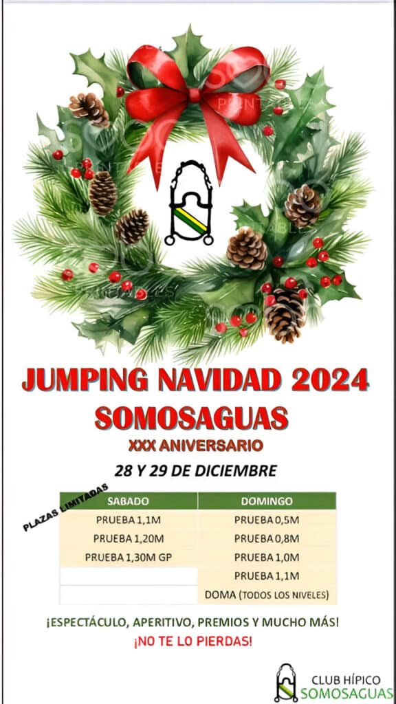 Jumping de Navidad Somosaguas