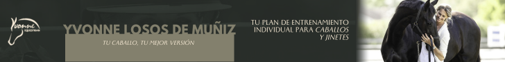 BANNER SECUNDARIO NUEVA CHACCO